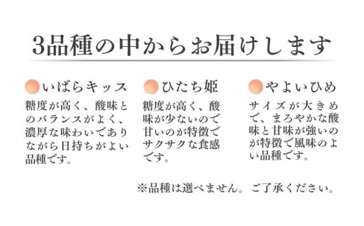 【2025年1月上旬】3種 食べ比べセット（２パック×1箱)（茨城県共通返礼品／常陸太田市） フルーツ 苺 イチゴ いちご 新鮮 朝採れ 茨城県 桧山FRUITFARM [DY004sa]