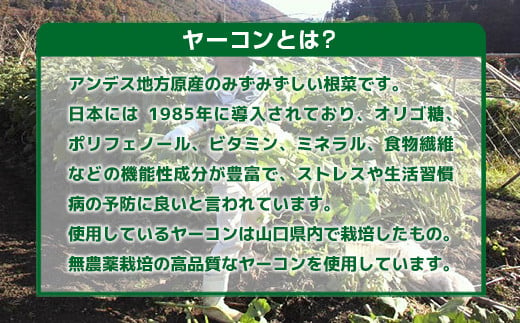 ヤーコン麺 6袋（1袋 160g ・約2人前）もちもち食感 食物繊維たっぷり