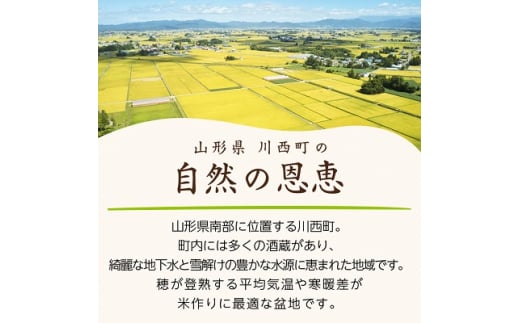 令和6年産　山形県産　つや姫・雪若丸　計4kg【1144535】