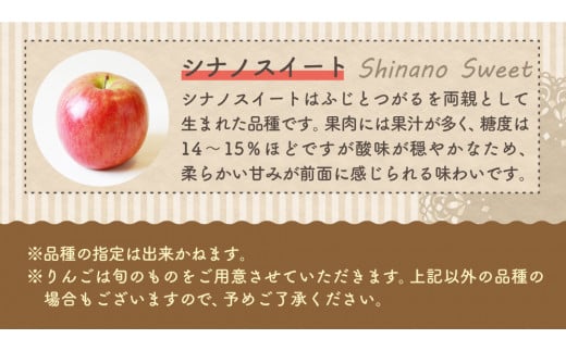 【2025年1月下旬発送】 【訳あり】 旬の美味しい りんご 約5kg 青森 産 【おまかせ1品種】