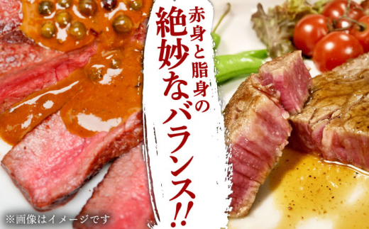 長崎和牛ヒレステーキ　150g×2枚 牛肉 ヒレ ひれ ヒレ肉 ヒレステーキ 和牛 ステーキ すてーき 九州 長崎和牛 焼肉