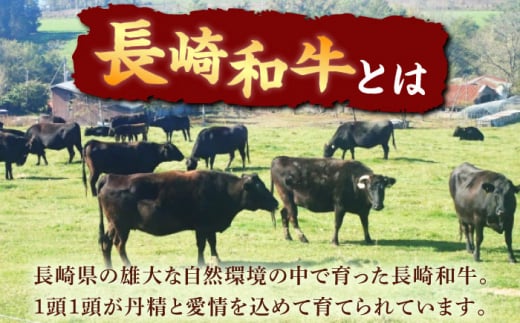 長崎和牛ヒレステーキ　150g×2枚 牛肉 ヒレ ひれ ヒレ肉 ヒレステーキ 和牛 ステーキ すてーき 九州 長崎和牛 焼肉