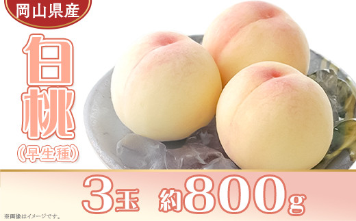 岡山県産 白桃3玉（約800g）