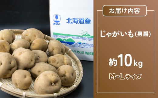 北海道 豊浦産 じゃがいも 男爵 10kg M-Lサイズ 農園直送 産直 ポテト 芋 イモ 【ふるさと納税 人気 おすすめ ランキング 野菜 いも 芋 じゃがいも じゃが芋 ジャガイモ ポテト国産 男爵 おいしい 美味しい 北海道 豊浦町 送料無料】 TYUU004