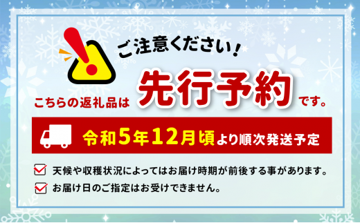 【12月下旬発送】ワイン あんず 酵母 巨峰 スパークリング ミニボトル チーズセット