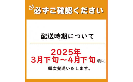 先行予約 不知火 約3kg 5Lサイズ 6玉 しらぬい デコポン みかん 蜜柑 果物 フルーツ 柑橘 オレンジ ゼリー ジュース アイス ケーキ デザート スイーツ ジャム 糖度 甘い ビタミン 美容 健康 送料無料 徳島県 阿波市 山中農園