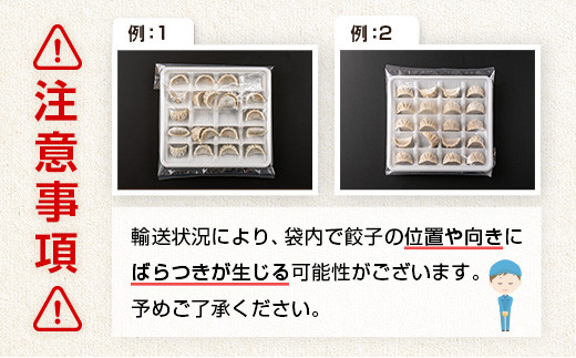 ◇＜定期便・全4回＞「一口餃子の大明神」一口餃子セット 2箱（120個入り） 毎月お届け