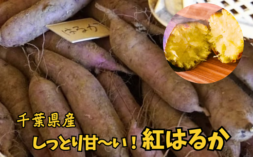 千葉県産 甘～い！ サツマイモ 紅はるか 5kg 先行予約 受付中 さつまいも べにはるか 熟成 ［石毛さん家の さつまいも ］