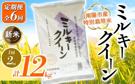 【令和6年産 新米 先行予約】 【金賞受賞農家】 《定期便6回》 特別栽培米 ミルキークイーン 2kg×6か月 《令和6年10月上旬～発送》 『あおきライスファーム』 山形南陽産 米 白米 精米 ご飯 農家直送 山形県 南陽市 [1589-RR6]