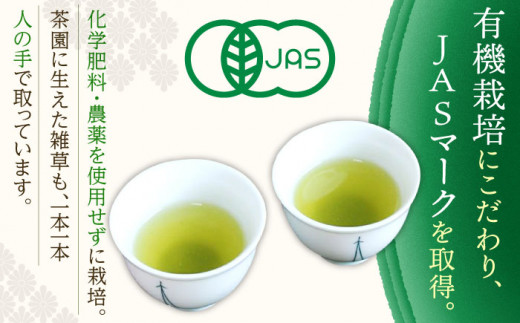 【1番茶の濃厚な旨味！】さざの 有機栽培茶 極 100g×3本【宝緑園】 [QAH005] お茶 有機栽培 お茶 佐々 長崎 お茶 お茶