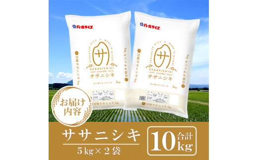 ＜令和6年産 新米＞宮城県産 ササニシキ 合計10kg (5kg×2袋) お米 おこめ 米 コメ 白米 ご飯 ごはん おにぎり お弁当 ささにしき【株式会社パールライス宮城】ta204