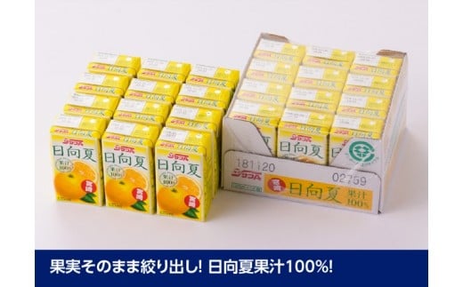 『サンA日向夏ジュース100%』125ml×24本セット