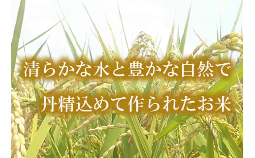 広島県産コシヒカリ詰め合わせセット