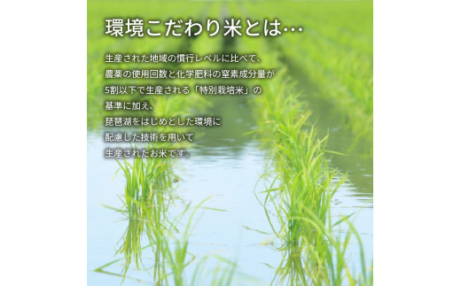 【 先行予約 】令和6年産 新米 予約 こしひかり 白米 10kg 定期便 3ヶ月 コシヒカリ 定期 3か月  10kg × 3回 計 30kg 米 滋賀県 竜王町 国産 農家直送 特別栽培米 コシヒカリ  2024年産 国産 農家直送 環境こだわり お米 こめ おこめ 産地直送 送料無料