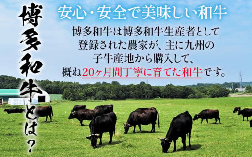  博多和牛 すき焼き 具材付き 総量 600g (150g×4パック)  すきやき 肉 お肉 和牛 国産 福岡県産 冷凍 鍋 鍋セット 個食パック 一人用 家族用 惣菜 お取り寄せ 送料無料