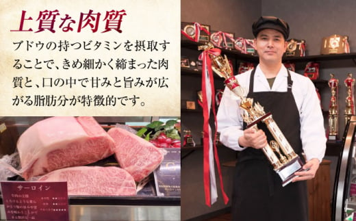 牛肉 贈答 ギフト 特産品 産地直送 取り寄せ お取り寄せ 送料無料 広島 三次 14000円