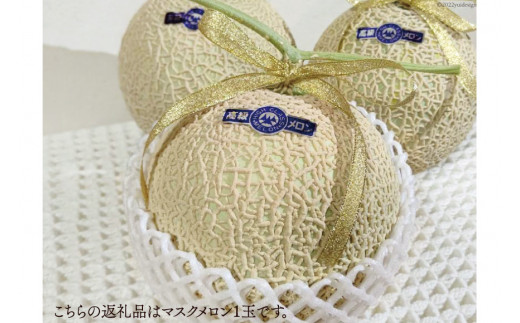 メロン 夏の味覚 マスクメロン 1～1.5kg×1玉《7月後半～8月後半出荷》 期間限定 数量限定 フルーツ 果物 高級 贈答品 冷蔵 / JA埼玉中央 小川農産物直売所 / 埼玉県 小川町