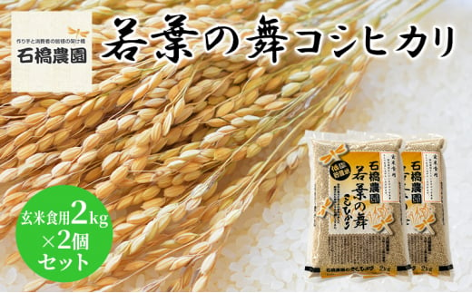 米 若葉の舞 コシヒカリ 玄米食用2Kg×2個セット こしひかり セット お米 玄米 千葉 千葉県 低温保存 [№5346-0836]