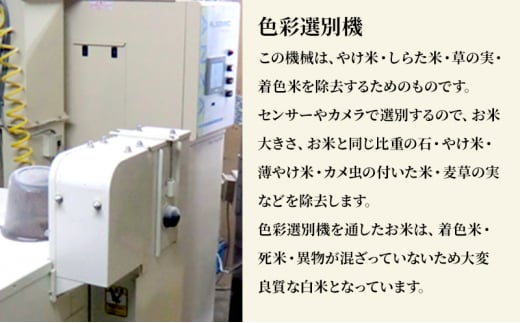 米 若葉の舞 コシヒカリ 玄米食用2Kg×2個セット こしひかり セット お米 玄米 千葉 千葉県 低温保存 [№5346-0836]