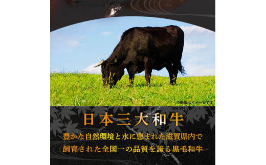 【2月発送】近江牛 ハンバーグ 200g×10個 計2kg 淡路島の玉ねぎ入り 冷凍 真空 小分け 個包装 肉汁 たっぷり 大容量 大きめ ハンバーグ 合挽き 牛肉 豚肉 保存料 不使用 ビーフ ポーク 合いびき肉 挽肉 ジューシー ハンバーグ お弁当 おかず 惣菜 晩ごはん 贅沢 ギフト 贈り物 贈答