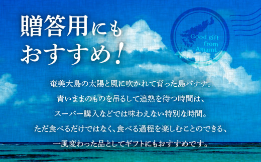 奄美の島バナナ（小笠原種）1房約1kg（約10本）　A052-001-01