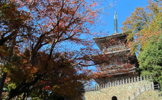 松琴舘　ご宿泊券　5,000円分【宿泊券 精進料理 安来清水寺】