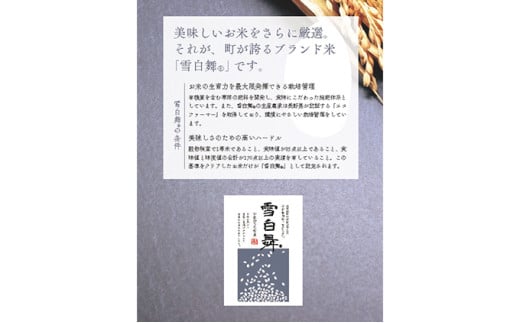 【令和6年度米！】志賀高原の麓で育った 山ノ内町産コシヒカリ『雪白舞』5kg 6か月連続お届け！2024年11月～発送 米 お米 コシヒカリ 5kg 5キロ ブランド米 令和6年 令和6年産 定期 6か月