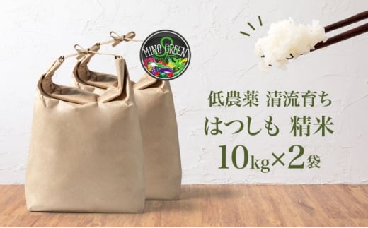 [№5308-0444]令和6年産 低農薬 清流育ち はつしも 精米 10kg×2袋 計20kg 新米 お米 精白米 白米 米 ごはん 米 ご飯 ハツシモ あっさり ブランド米 大粒 幻の米 お取り寄せ 自家用 贈答用 贈り物 御礼 産地直送 送料無料 美濃グリーン 岐阜県 美濃市