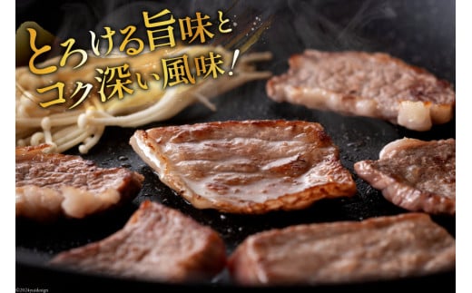 肉 定期便 6ヶ月 宮崎牛・豚バラエティセット [ミヤチク 宮崎県 美郷町 31au0059] 冷凍 小分け 牛肉 豚肉 豚小間 豚バラ 小間 豚ロース 牛肩ロース しゃぶしゃぶ 焼肉 牛モモ