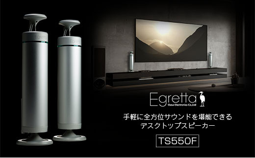 スピーカー オーディオ 全方位 無指向性 Egretta エグレッタ TS550F デスクトップサイズ全方位スピーカー オオアサ電子 アンプ搭載 2本1組_OE025_008