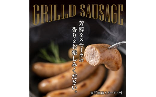 国産豚肉使用！大和町特産品ソーセージのセット(100g×10パック) 行者菜入り 大和ブラート 手作り あらびき 粗挽き 細挽き 肉 加工品 小分け 食べ比べ 冷蔵 おつまみ BBQ バーベキュー【有限会社コブレンツ】ta296