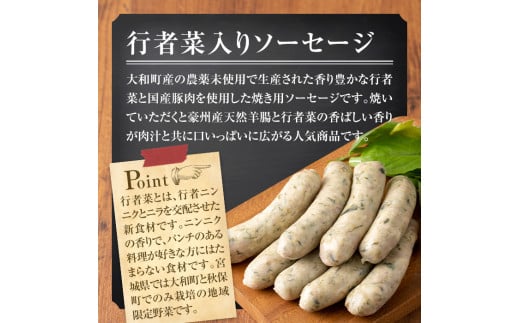 国産豚肉使用！大和町特産品ソーセージのセット(100g×10パック) 行者菜入り 大和ブラート 手作り あらびき 粗挽き 細挽き 肉 加工品 小分け 食べ比べ 冷蔵 おつまみ BBQ バーベキュー【有限会社コブレンツ】ta296