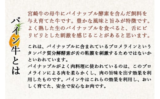 ＜パイン牛赤身とろフレーク 50g×10＞2か月以内に順次出荷