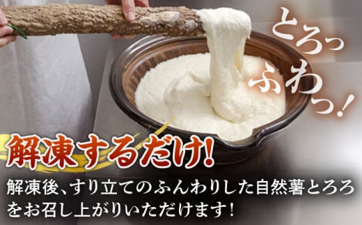 【11月上旬から発送】自然薯柚子こしょうとろろ 40g×4個＜自然薯王国＞那珂川市 [GAH022]