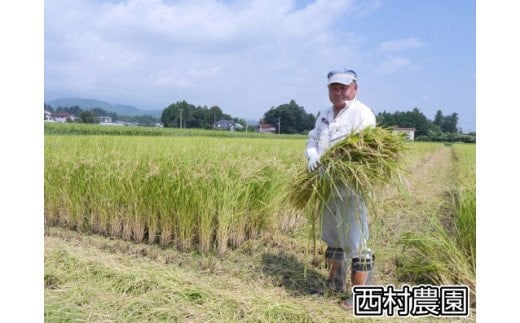 米 5kg 令和6年 天のつぶ 新米 特別栽培米 西村農園 ｜ 福島県 大玉村 お米 令和6年産 2024年産 コメ 精米 白米 テンノツブ ｜nm-tt05-R6