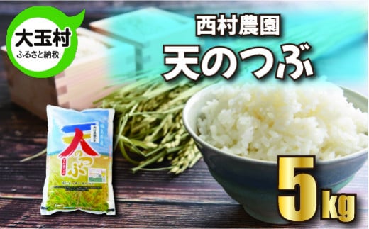 米 5kg 令和6年 天のつぶ 新米 特別栽培米 西村農園 ｜ 福島県 大玉村 お米 令和6年産 2024年産 コメ 精米 白米 テンノツブ ｜nm-tt05-R6