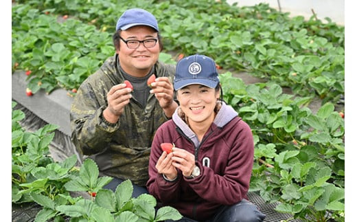 ＜先行予約＞ 鬼怒川の恵みをたっぷり受けた　栃木県上三川（かみのかわ）町産　スカイベリー とちあいか【イチゴセット】2パック（1箱）いちご イチゴ 苺
※2024年1月中旬～3月下旬頃に順次発送予定
※離島への配送不可
※着日指定不可