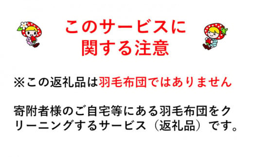 6-U03　羽毛布団丸洗いクリーニング　防ダニ加工＆保管付き（シングル1枚）