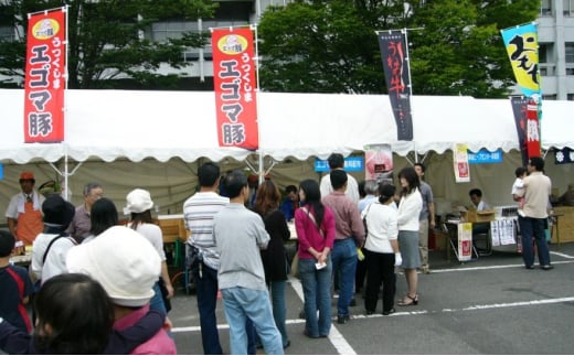 【焼き豚】福島県産 うつくしまエゴマ豚 焼豚 約400g×2個（総重量：約800g）化粧箱入り