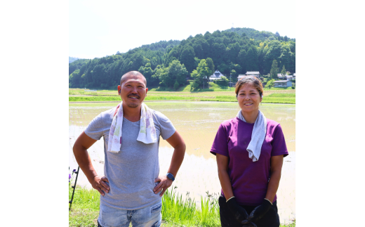 【定期便12回】【令和6年産】新米 減農薬ミルキークイーン 玄米 5kg 毎月お届け 12ヶ月【 定期便 米 ミルキークイーン 5キロ 5kg 玄米 こめ コメ お米 おこめ 減農薬 低農薬 農家直送 綾部 京都 森本ファーム 】