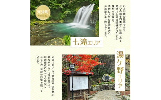 たっぷり河津旅宿泊補助券（8，000円） [№5227-0095]