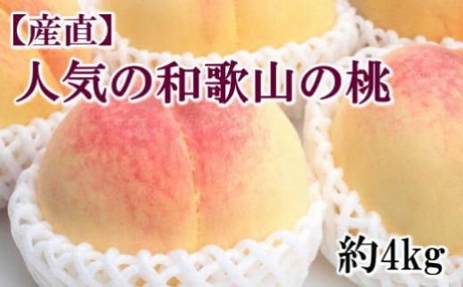 【産直・人気の特産品】和歌山の桃　約4kg・秀選品★2025年6月下旬～8月上旬頃順次発送★【TM168】