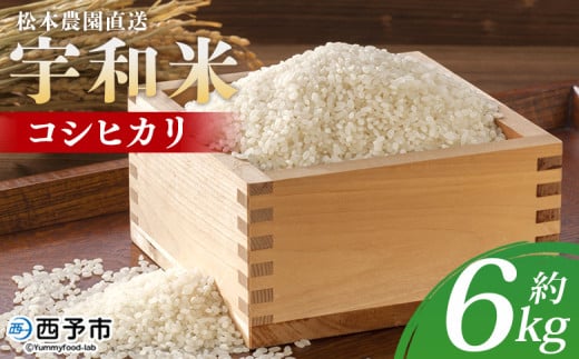 ＜令和6年産 松本農園直送 宇和米（コシヒカリ）約6kg＞ こしひかり 米 コメ こめ 白米 精米 うわまい ウワマイ ご飯 新鮮 6キロ お弁当 朝 昼 夜 国産 特産品 愛媛県 西予市【常温】