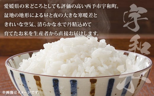 ＜令和6年産 松本農園直送 宇和米（コシヒカリ）約6kg＞ こしひかり 米 コメ こめ 白米 精米 うわまい ウワマイ ご飯 新鮮 6キロ お弁当 朝 昼 夜 国産 特産品 愛媛県 西予市【常温】