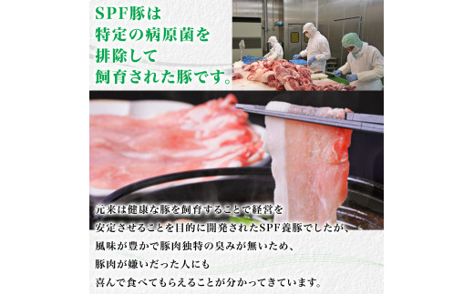 【6ヶ月定期便】林SPF豚　焼き肉セット（シート巻き）計1kg×6回