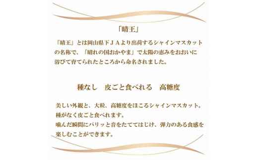 ＜先行予約＞【2024年7月発送開始】シャインマスカット 晴王 800g×1房 TY0-0237