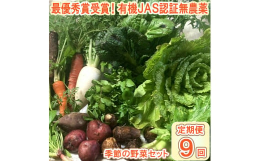 【最優秀賞受賞！甘味＆栄養】有機JAS認証の無農薬、チヨちゃんの野菜９ヶ月定期[959]