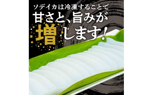 沖永良部島 イカの王様！ソデイカ 1.5kg　C010-024