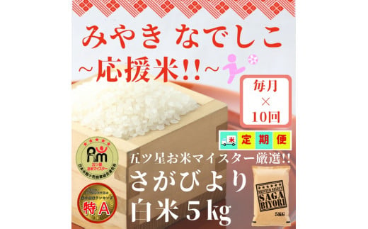 CI714【みやきなでしこ】応援米【１０回定期便】さがびより白米５kg  精米 佐賀県産 女子サッカー応援