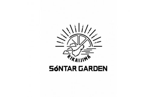 【濃縮】パッションシロップ　３本 240g【SONTAR GARDEN】